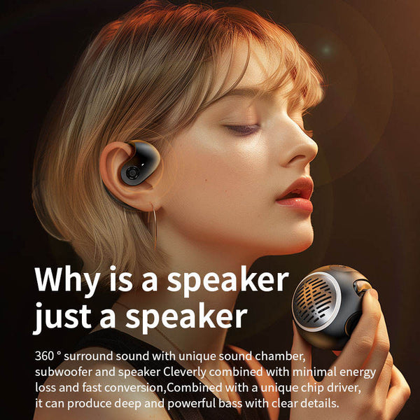 HiFi HD Bluetooth Wireless Speaker & TWS Earbuds with Type-C Charging